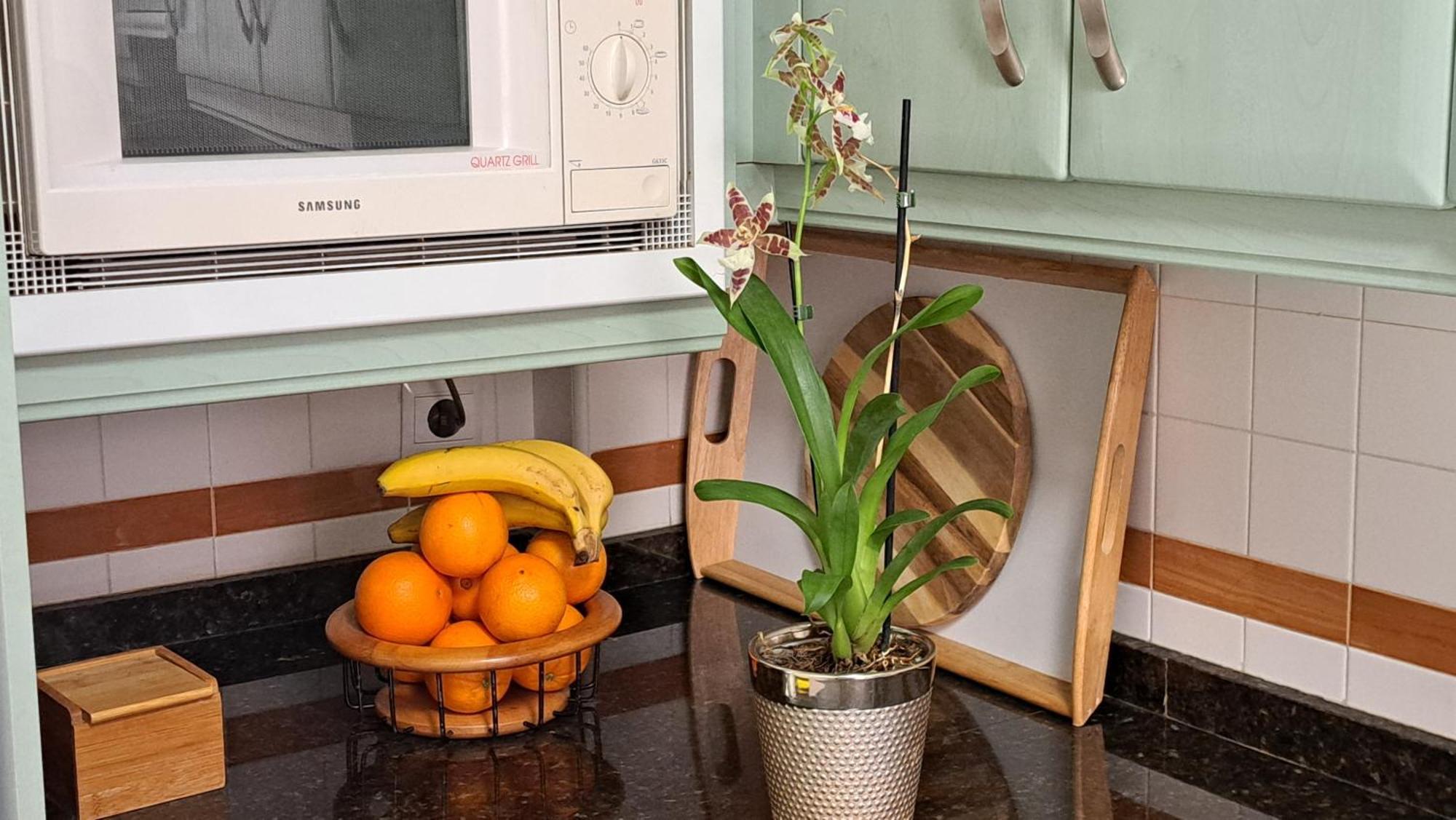 קורדובה Apartamentos Maria Cristina Con Parking Gratis מראה חיצוני תמונה